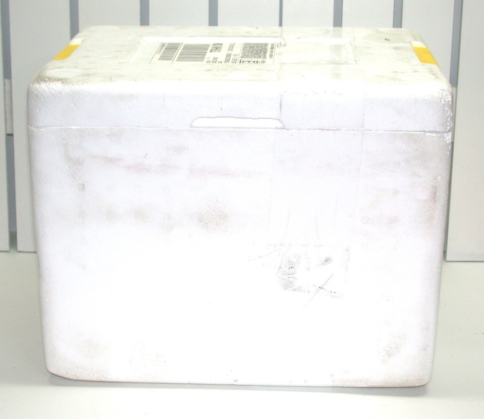 Creative Packaging Styrofoam Ship Cooler & Gel Packs 10.5″ D x 13.5″ L x 11″ H