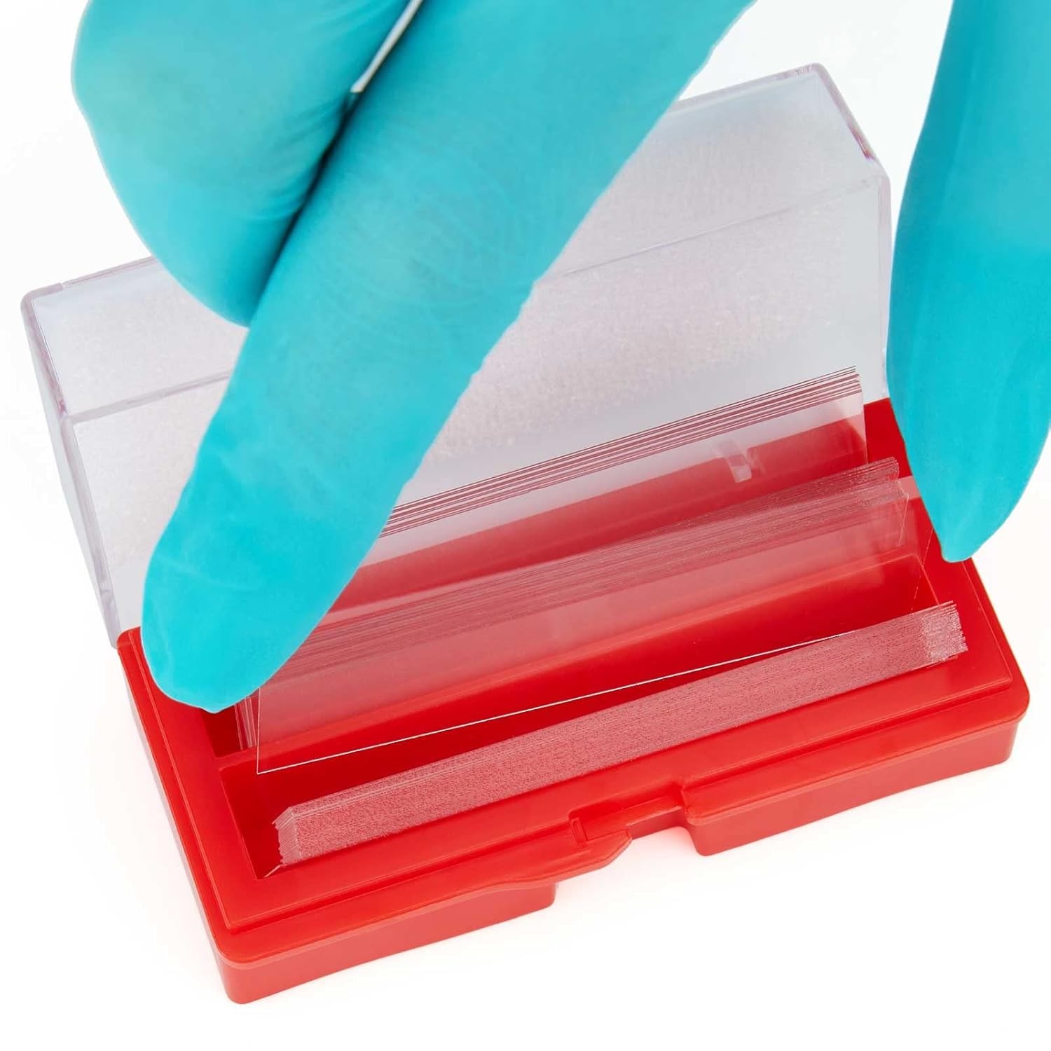 Globe Scientific 1419-10 Cover Glass, 24 x 60mm, No. 1 Thickness (Case of 10)