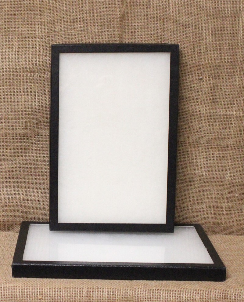Collector’s Display Case: 8 x 12 x 3/4″ (Riker Type) – Package of 2