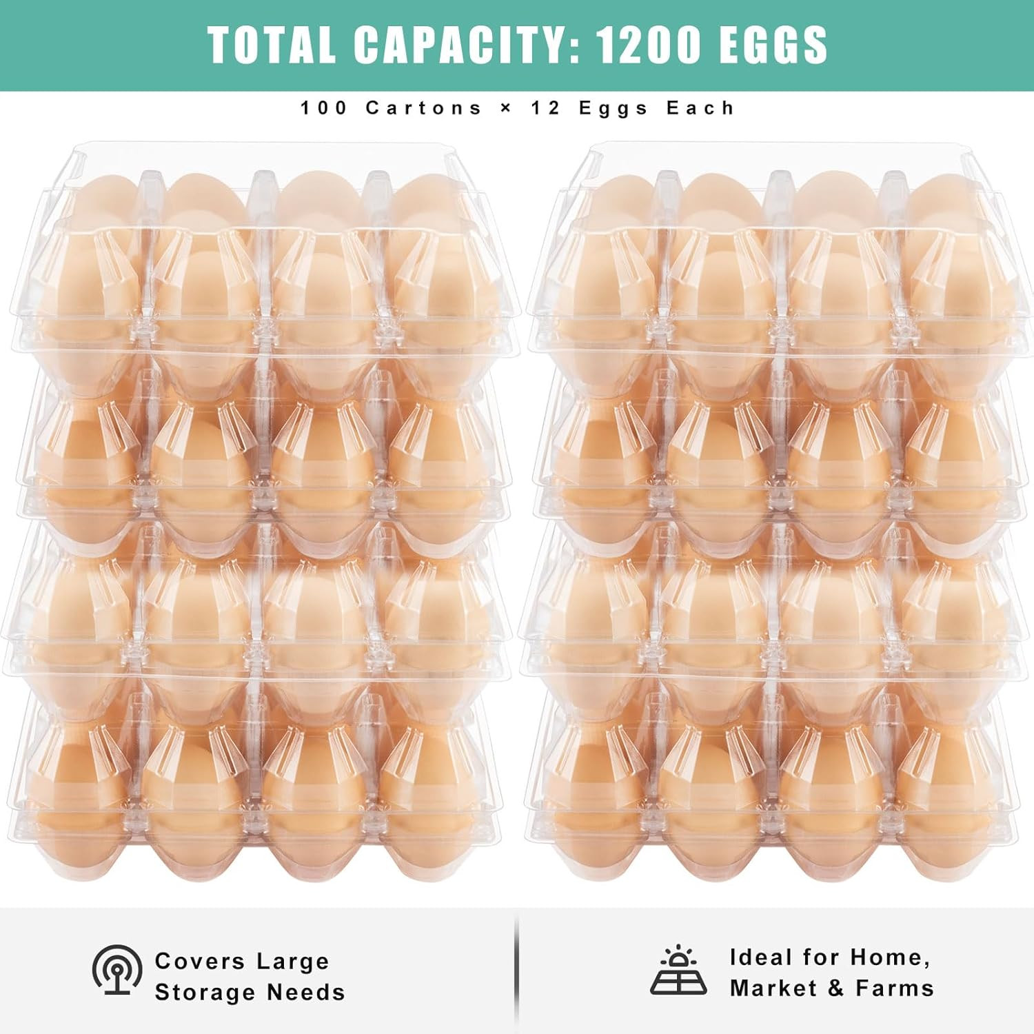 100 Pack Clear Plastic Egg Cartons, Holds 12 Eggs Each, 3×4 Grid
