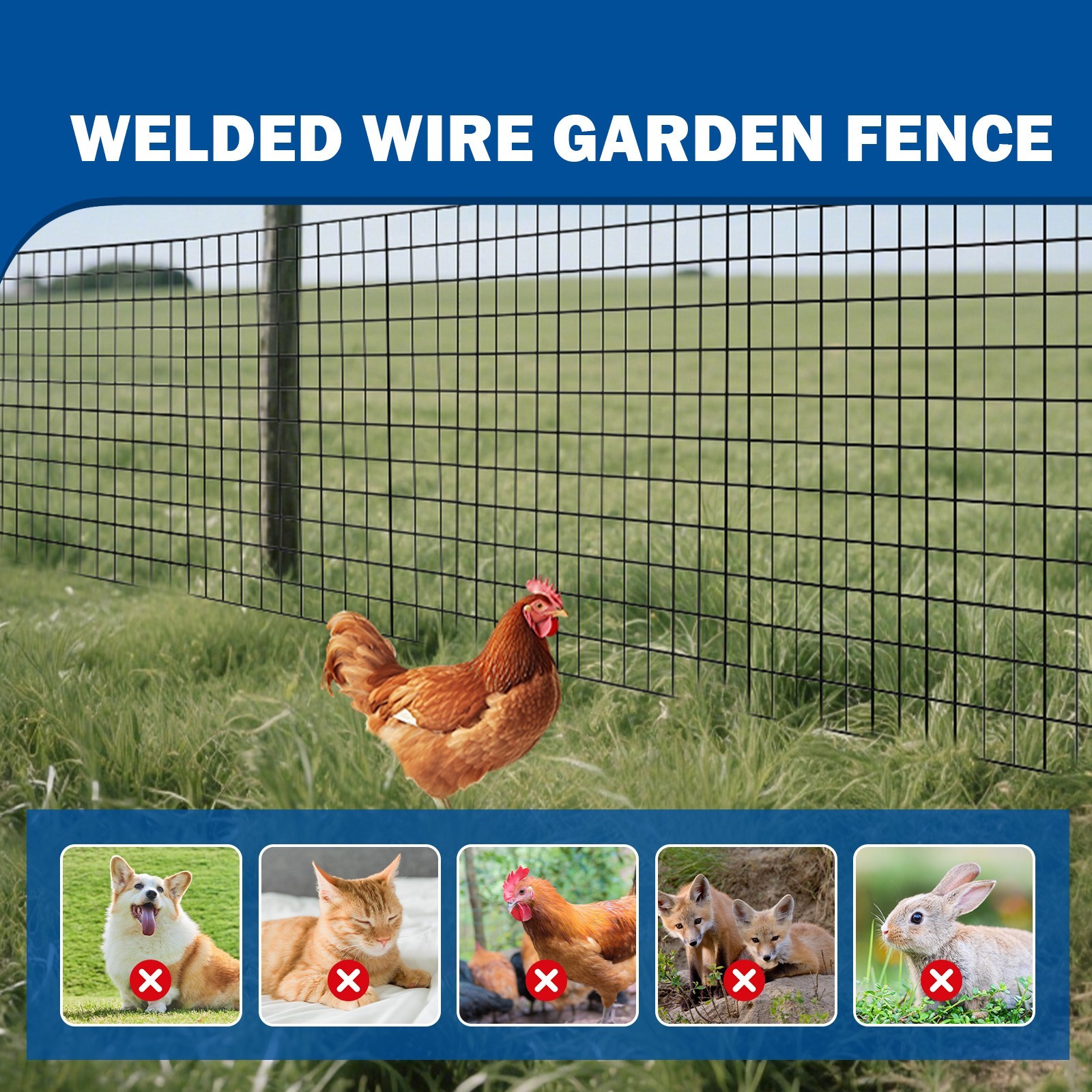 PVC Coated Welded Mesh,16 GA Black Pvc Coated Welded Wire Fencing,Chicken Fence