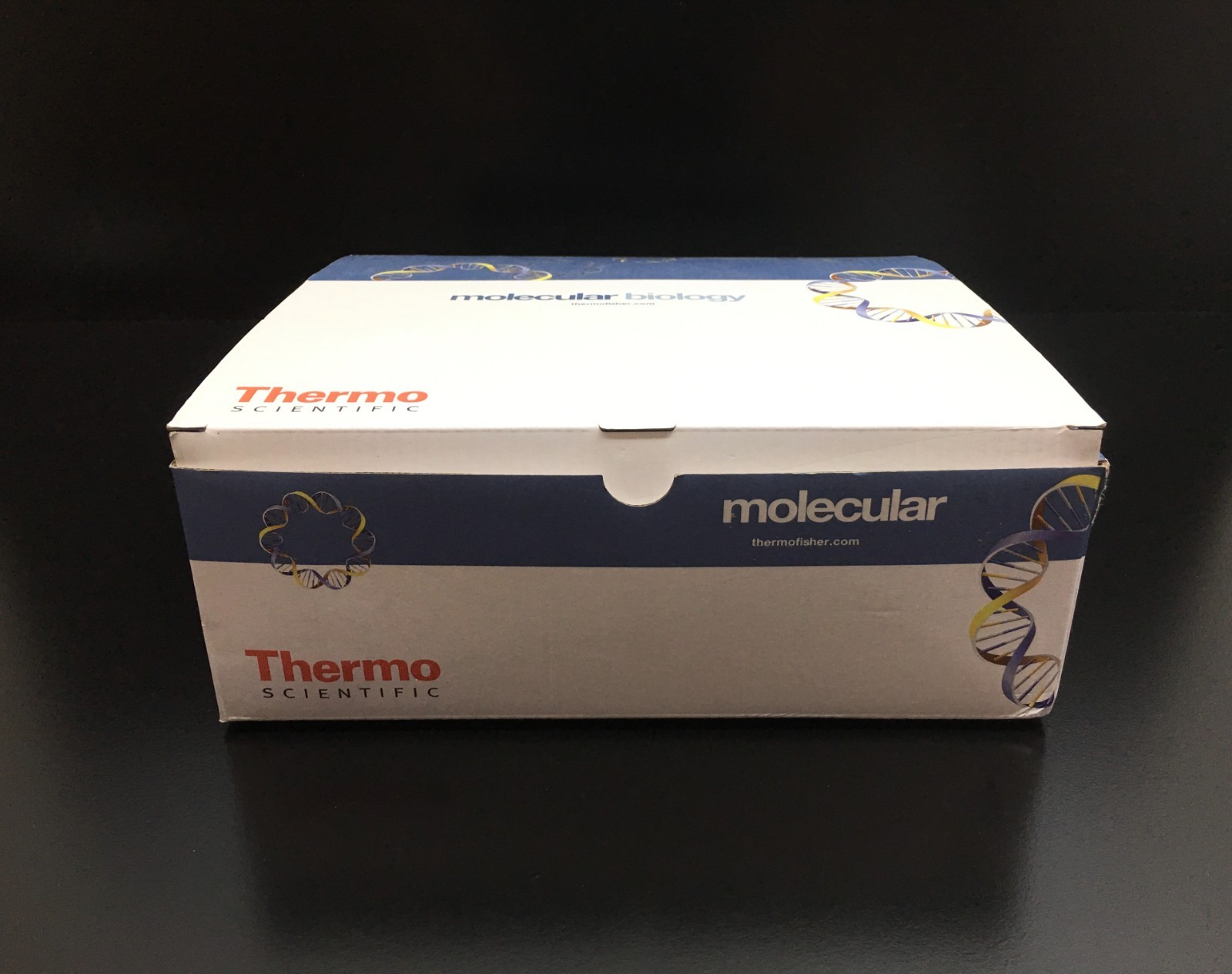 Thermo Scientific REF AB-3384 Armadillo PCR Plate 384 Well Lot 43 PCS