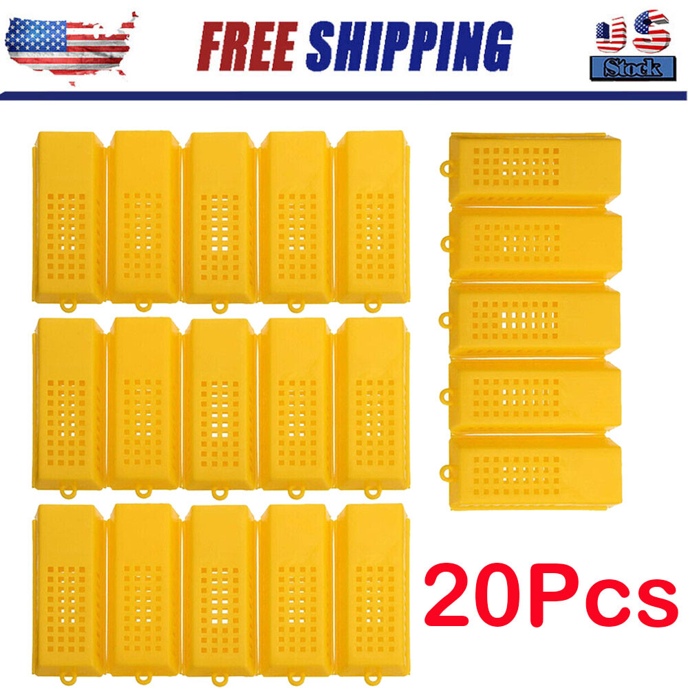 20pcs / Set Professional Queen Bee Butler Cage Catcher Trap Case Beekeeping Tool