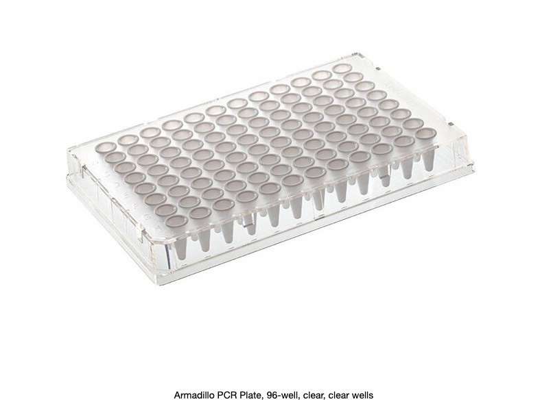 (25/Pk) MOLECULAR BIOLOGY 96-Well Armadillo HP PCR Culture Plates Clear AB-2396