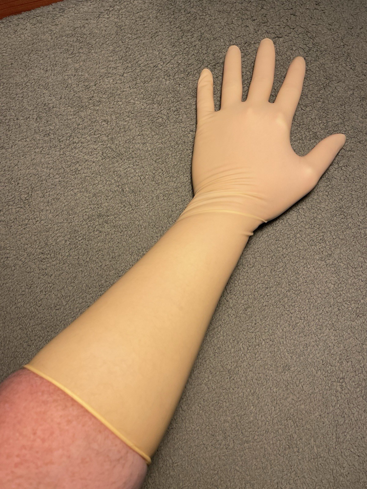 16” Elbow Length Latex Cleanroom Gloves, Size Medium, 7.5, 1 Pack, 10CT