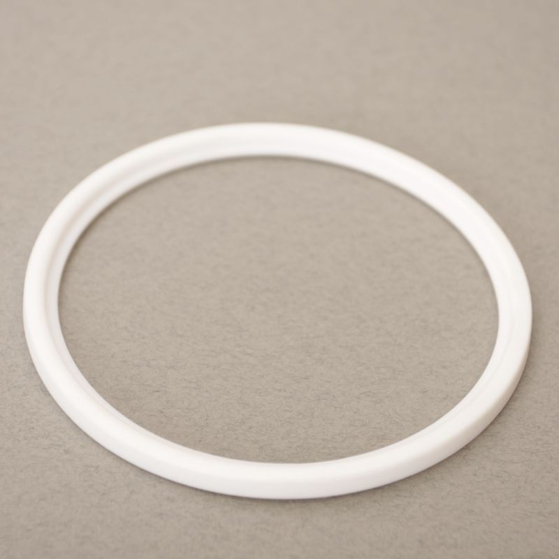 DIN Gasket | 100mm (4 in) – PTFE (2 Pack)