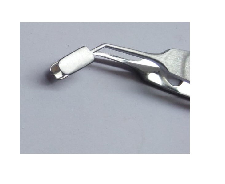 Meibomian Gland A Arita Expressor Forceps (2 PIECE)