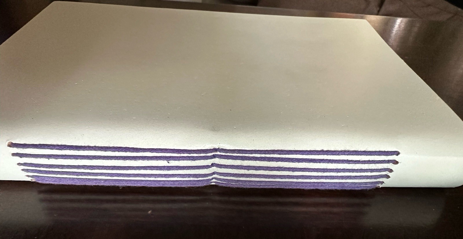 Earthbound Company Journal 9×6 Purple Alien Eyes Leather Notebook Made in India
