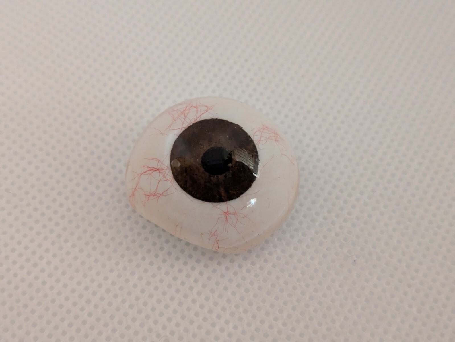 Human Eye Ocular Prostheses Prosthetic Realistic With Sterilized Case USA SELLER