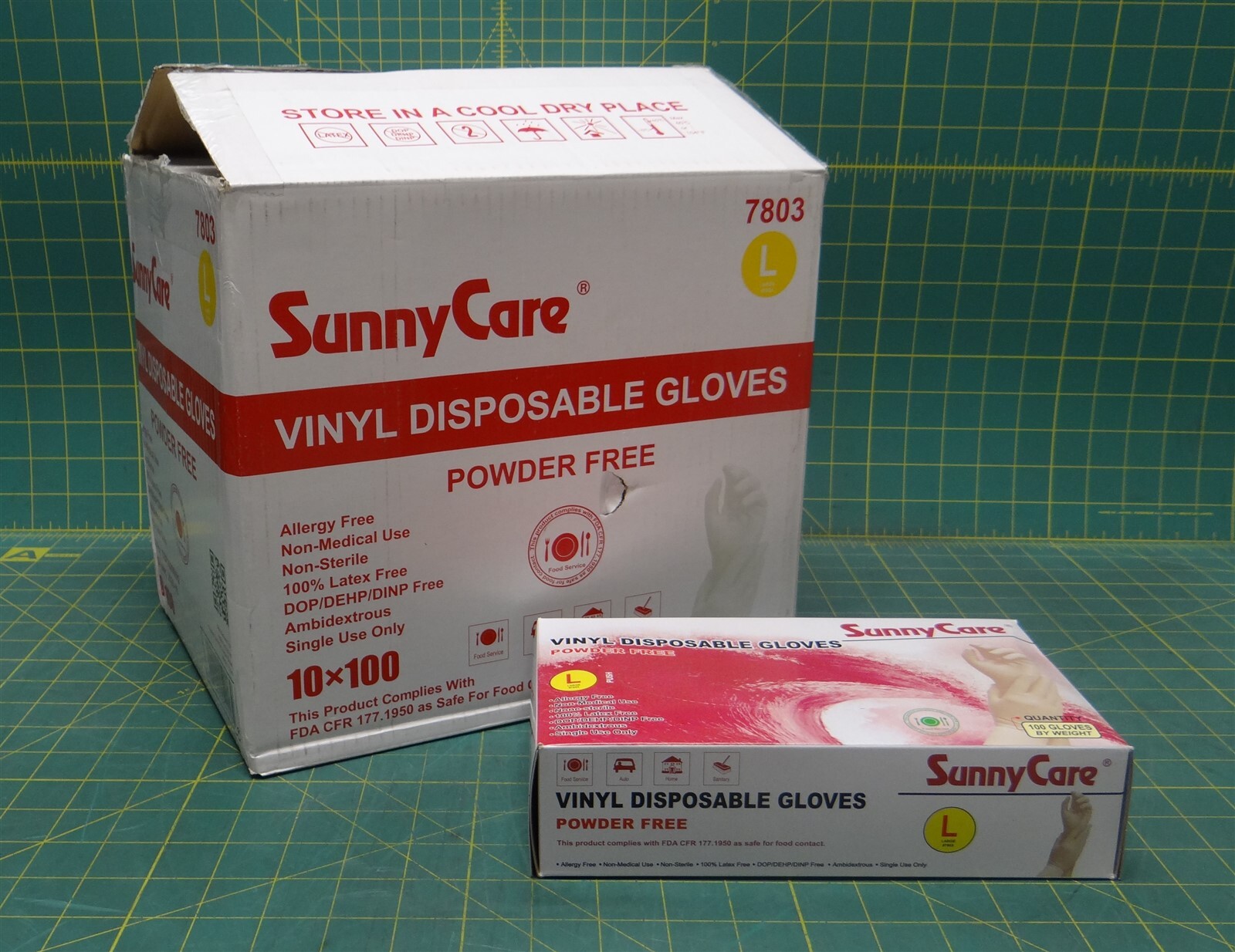 (Case of 10 Boxes) SunnyCare 7803 Powder Free Vinyl Disposable Gloves Size Large
