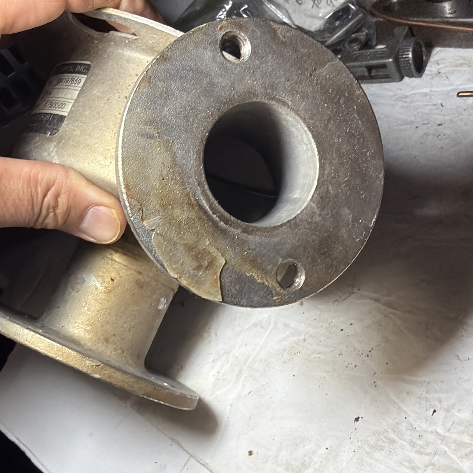 ASP American Stainless Pumps JSP4V Pump Head FLANGE W/Bolts and Impeller.