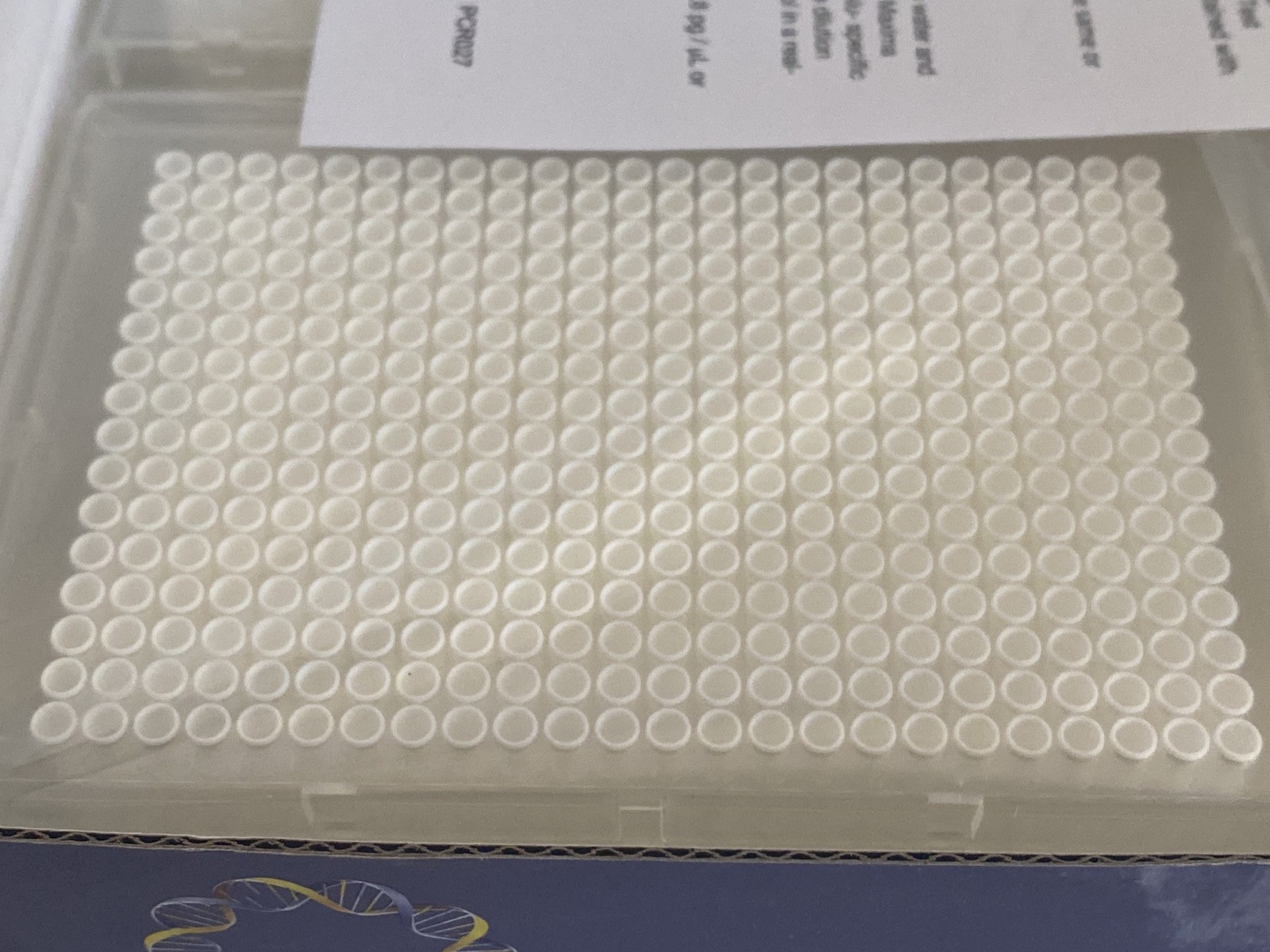 (50/Pk) THERMO SCIENTFIC 384-Well Armadillo HP PCR Culture Plates AB3384