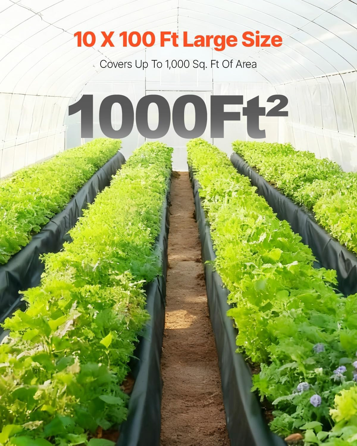 10 Mil Plastic Sheeting Heavy Duty 10′ X 100′, Thick Plastic Sheeting Roll, Plas