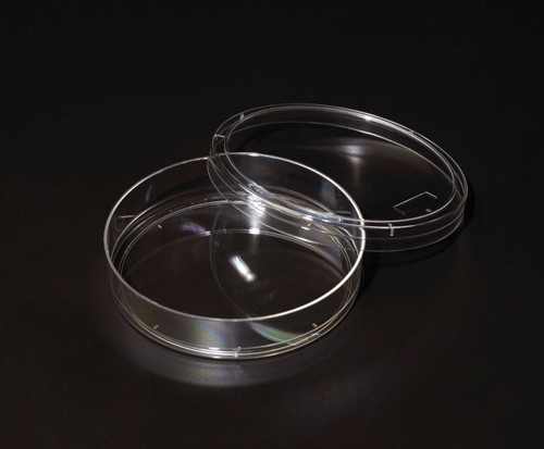 Corning 430599 Cell Culture Dish 150mm Treated Sterile 60 Cases (3376197)