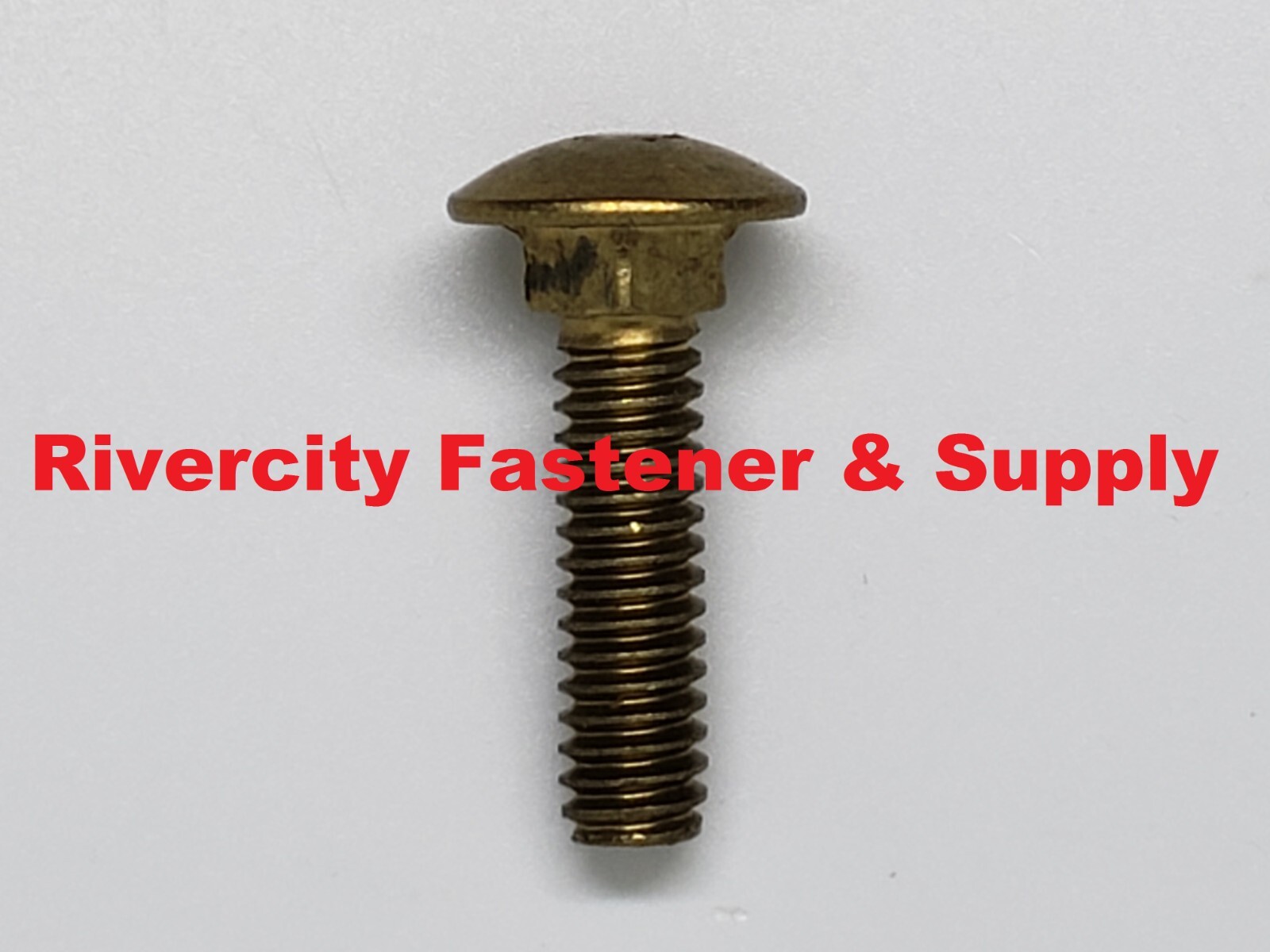 1/4-20×1 Brass Carriage Bolts 1/4×20 x 1″ Screws 1/4 x 20 x 1