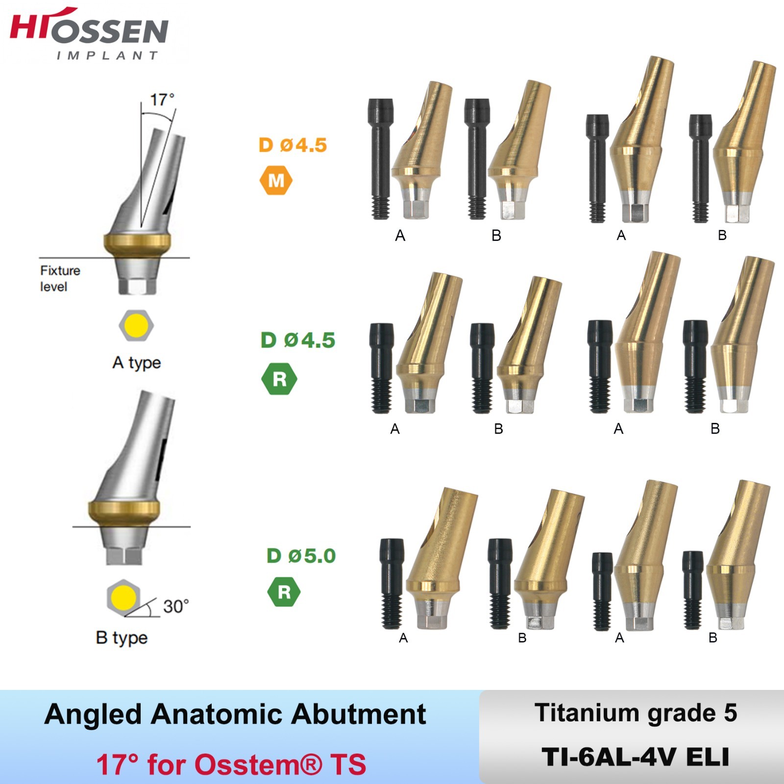 1X Fit Mini/Regular Angled Anatomic Abutment 17° Ti Dental Osstem/TS Hiossen/ET