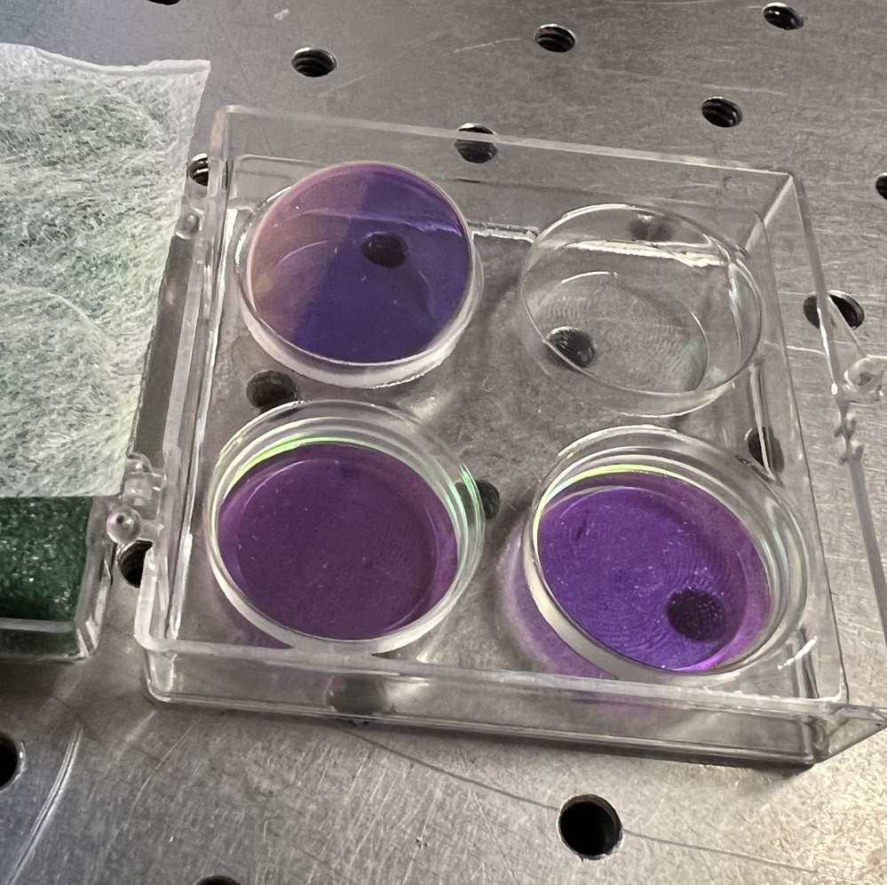 QTF Fused Silica Ø1″ HR 1064nm 532nm @ 45° mirror, HT 355nm