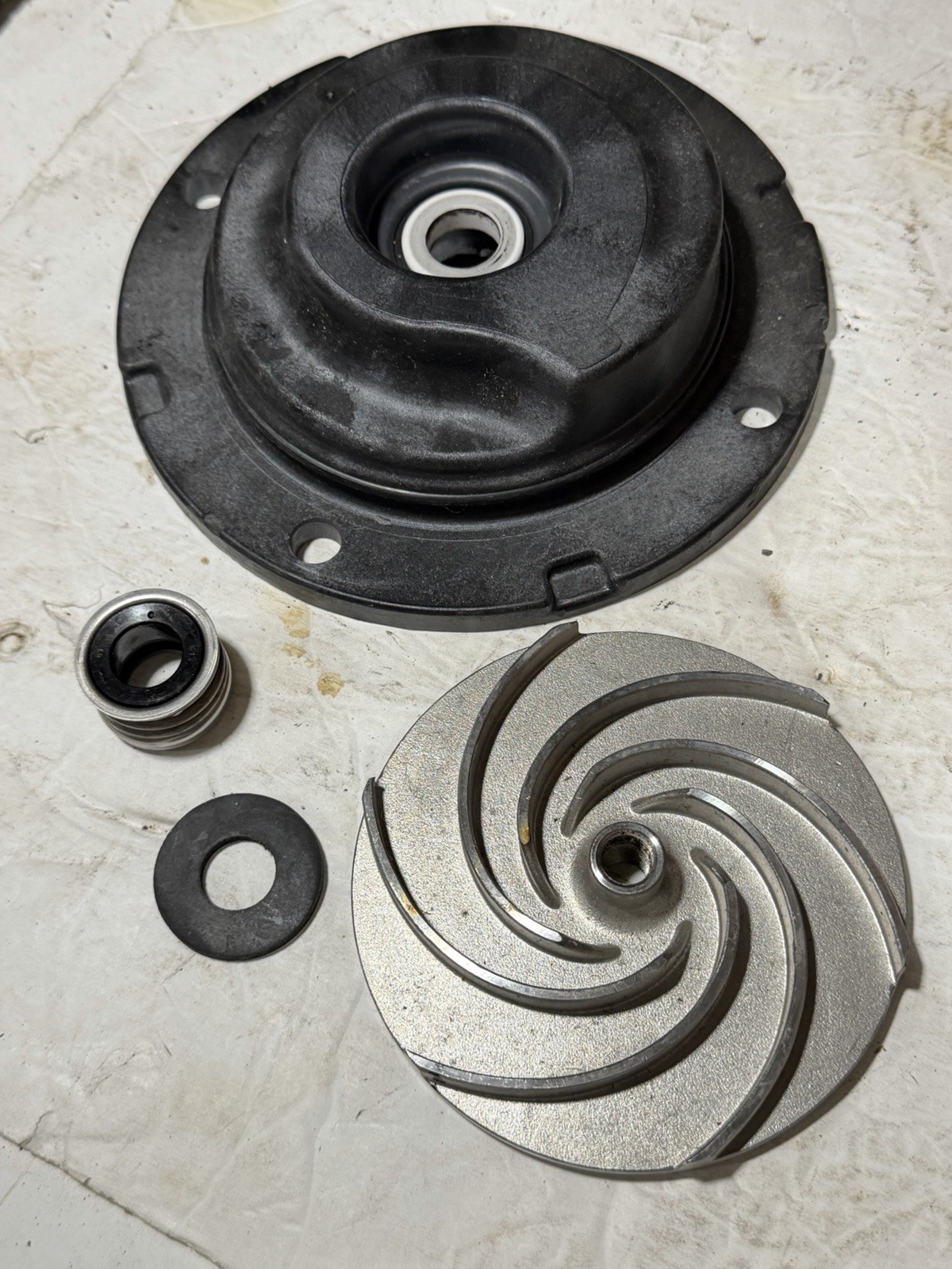 ASP American Stainless Pumps JSP4V Pump Head FLANGE W/Bolts and Impeller.