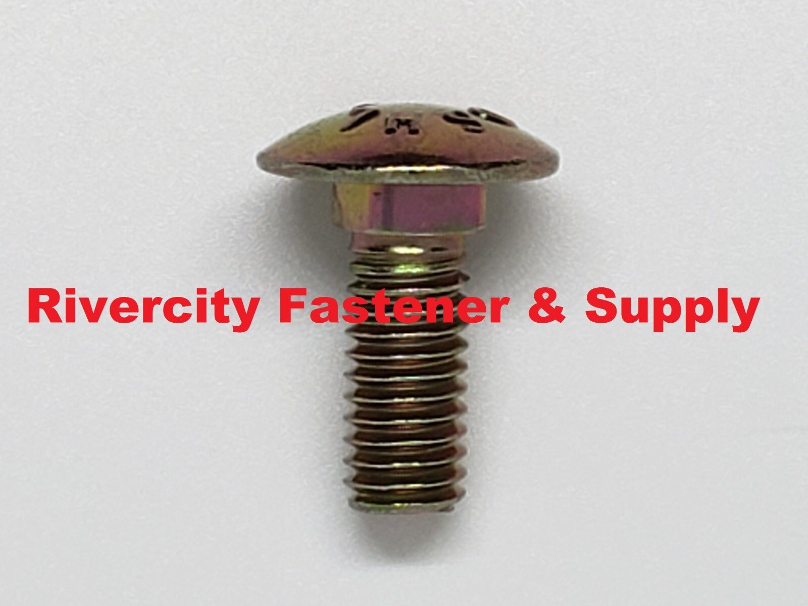M6-1.0×16 Steel Carriage Bolts M6x1.0 x 16 Screws 6mm x 1.0 x 16mm