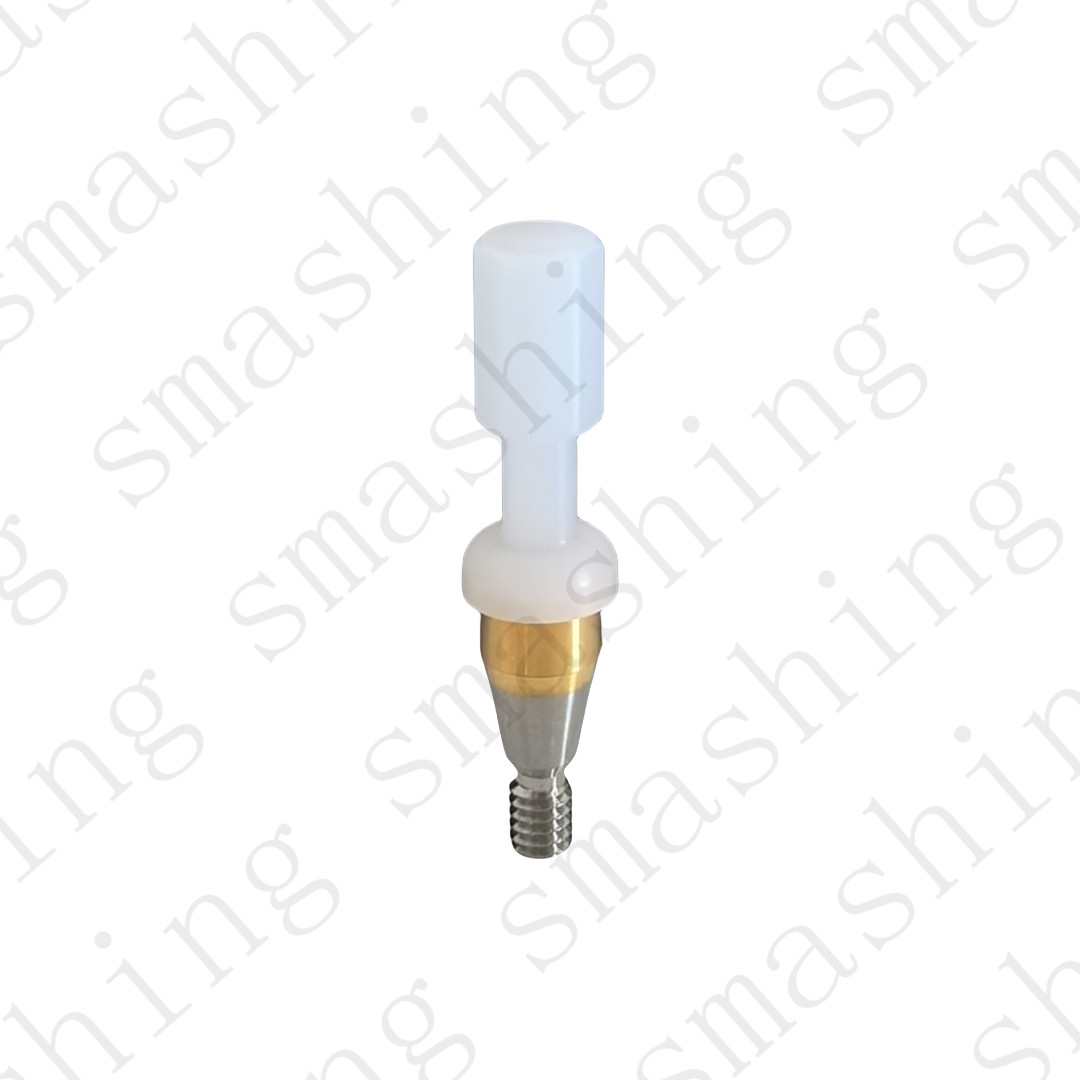 Dental Abutment Retentive Caps Inserts Locator Implant Metal Housing Caps OSSTEM