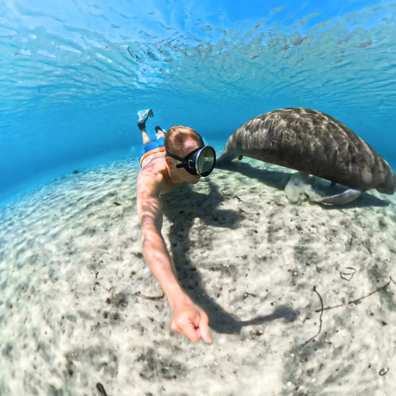 Insta360 X5 Fully Invisible Diving Shell