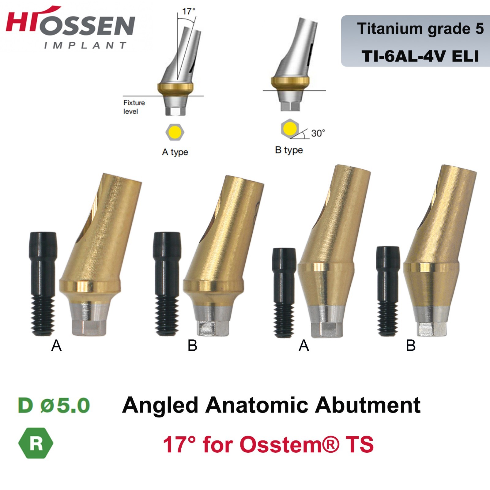 1X Fit Mini/Regular Angled Anatomic Abutment 17° Ti Dental Osstem/TS Hiossen/ET
