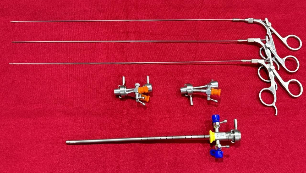 Laparoscopic Cystoscopy Graspers 5FR With Cystoscopy Sheath 17FR & Bridge SS