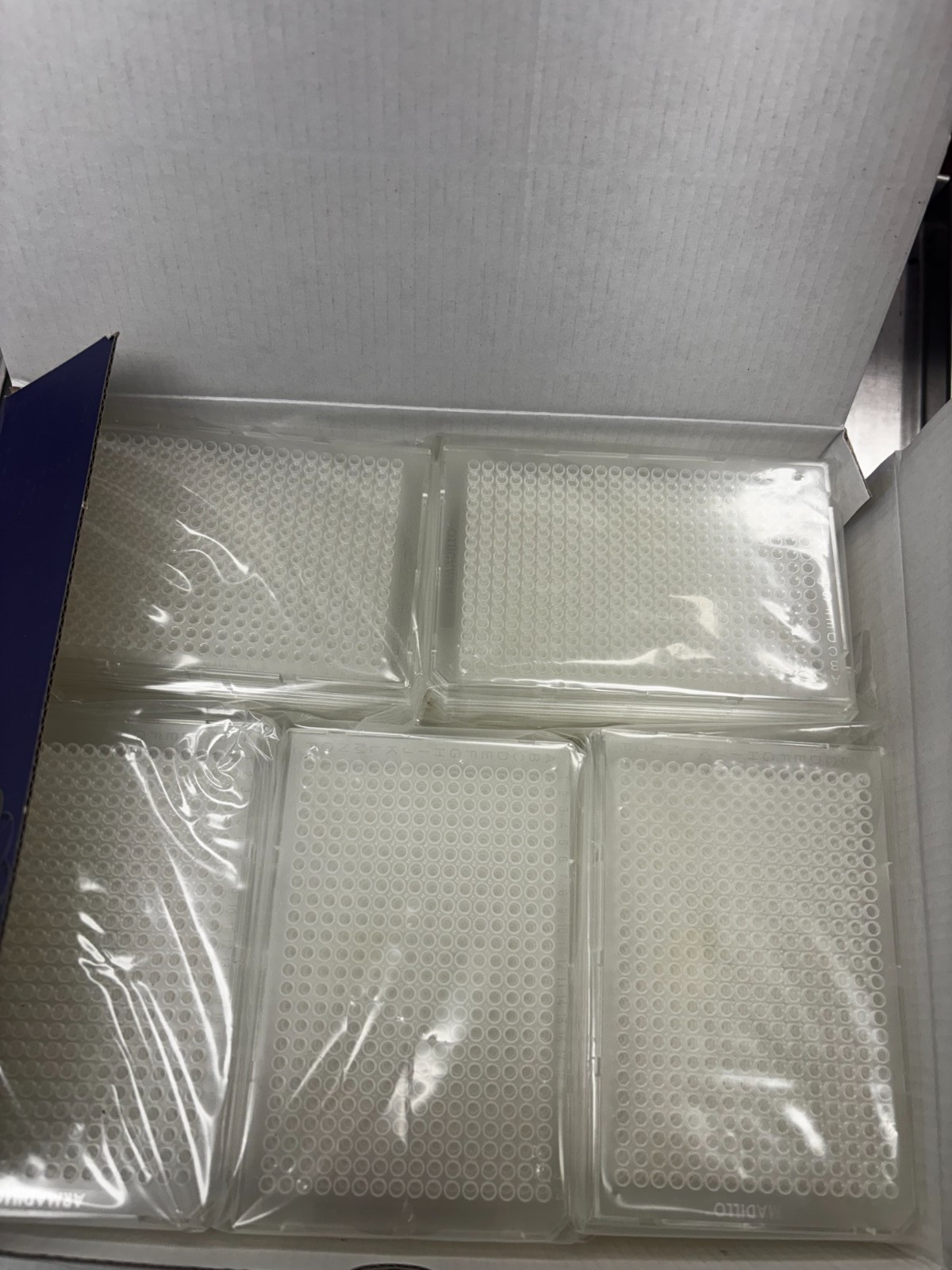 Armadillo PCR Plate, 384-well, clear, clear wells (#AB-2384)