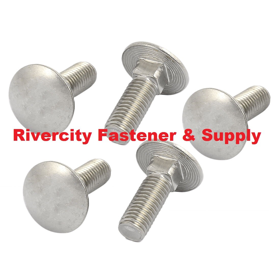 1/4-20×1 Stainless Carriage Bolts 1/4x20x1 Screws 1/4-20 x 1″ 1/4×20 x 1