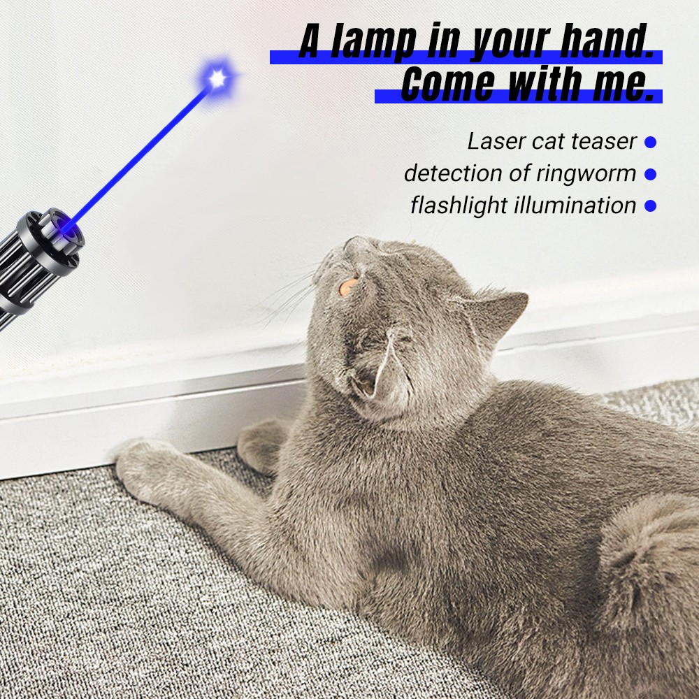 Adjustable High Power Blue Laser Burning Light Pointer Visible Dot Torch Light