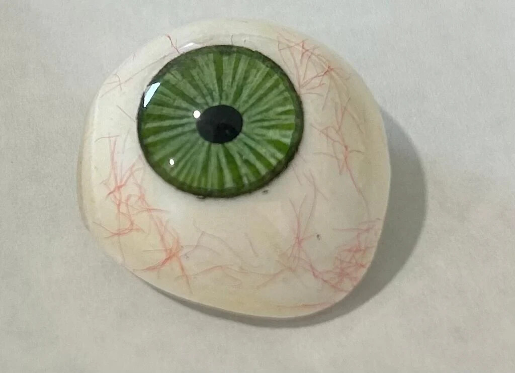 Human Eye Ocular Prostheses Prosthetic Realistic With Sterilized Case USA SELLER