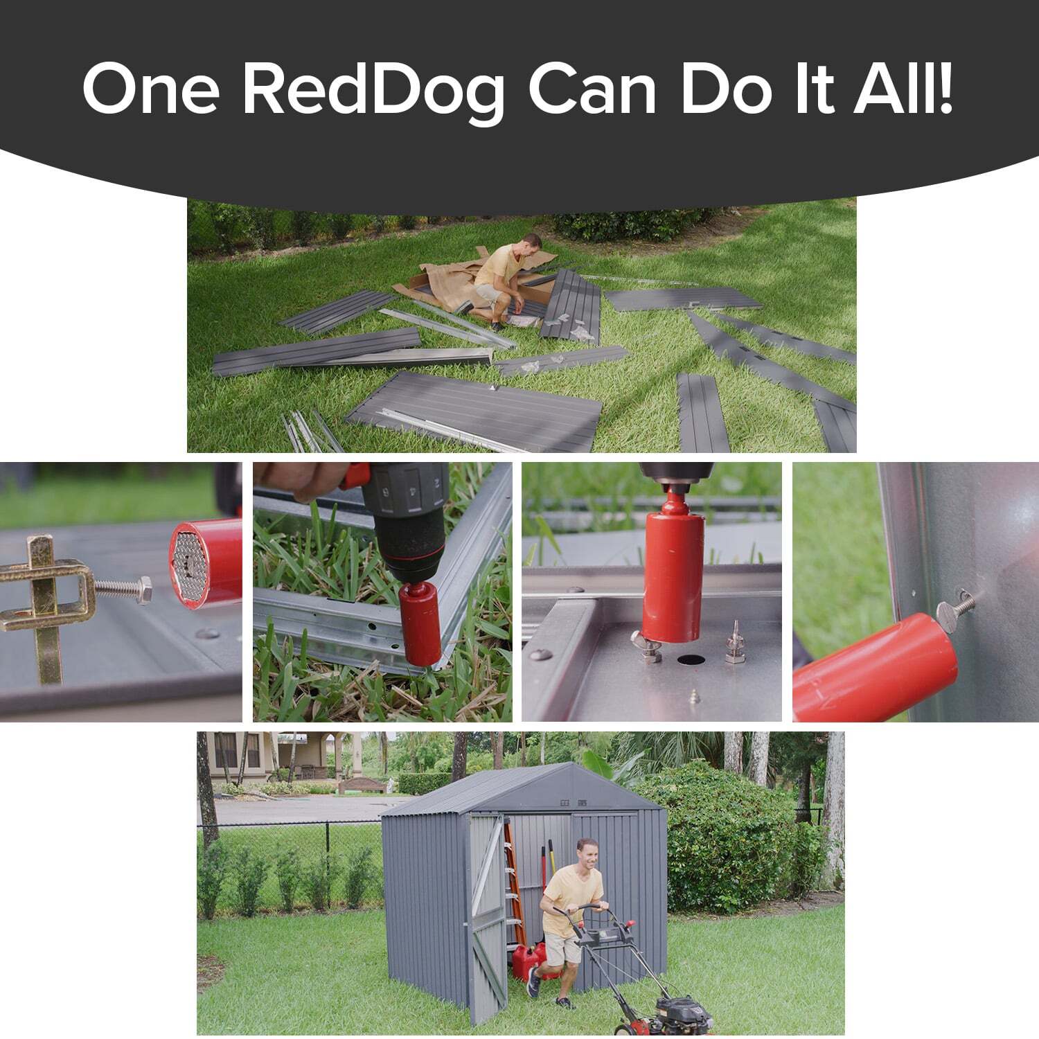 Red Dog Socket AS-SEEN-ON-TV w/ Bonus Drill Adapter Use with Most Socket