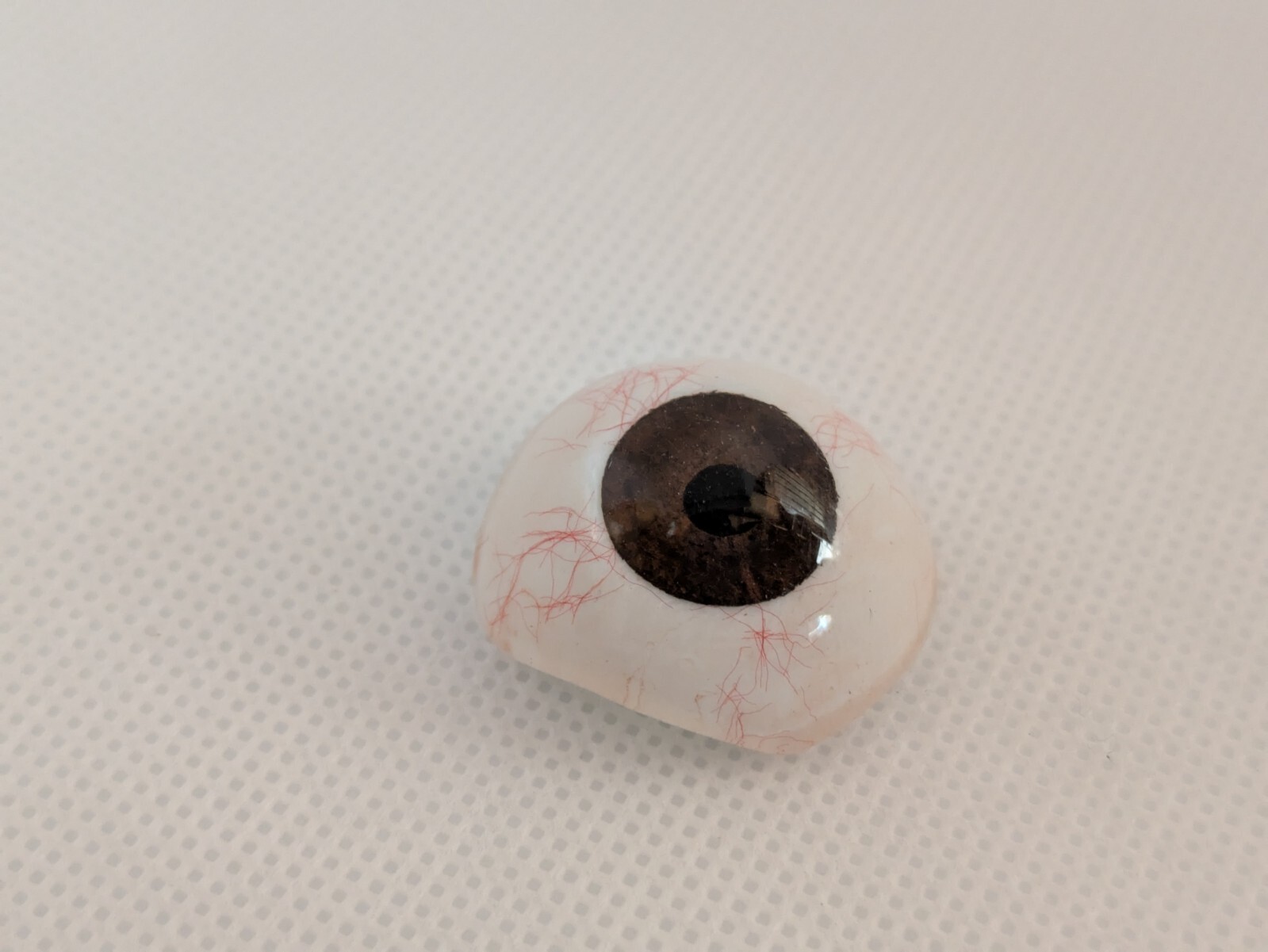 Human Eye Ocular Prostheses Prosthetic Realistic With Sterilized Case USA SELLER