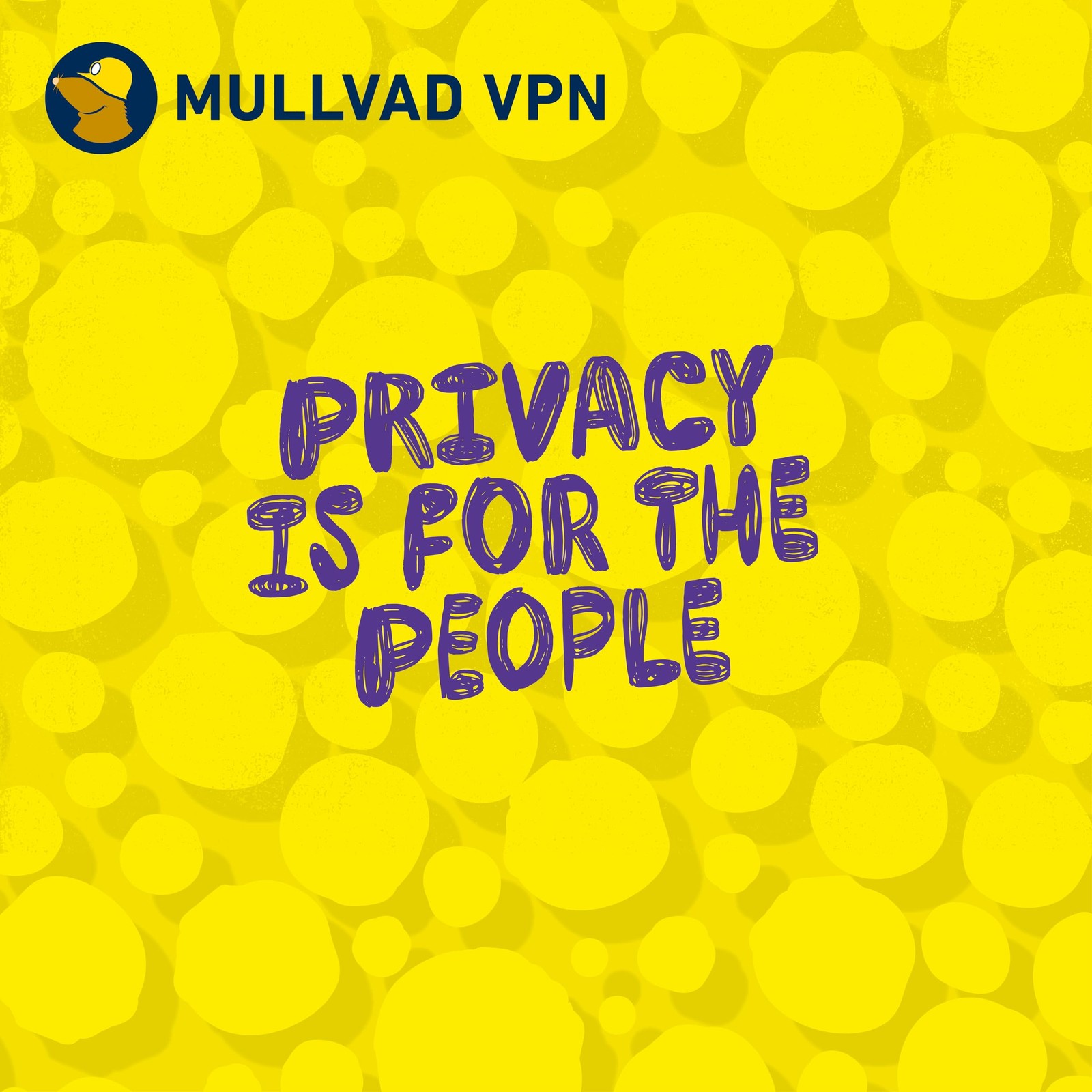 | 6 Months for 5 Devices | No-Log Security VPN Service | Protect Your Privacy