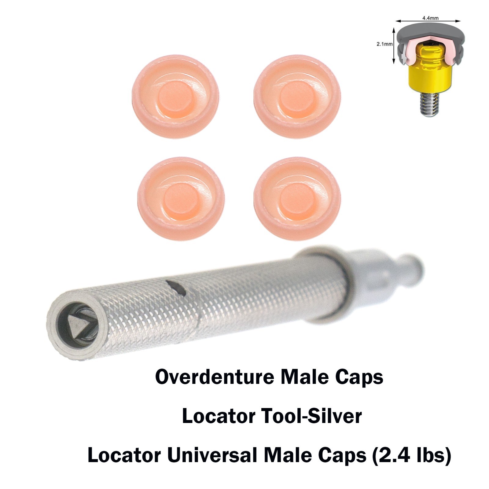 US Universal Dental Overdenture Implant Retention Caps 2.4lbs &Locator Core Tool