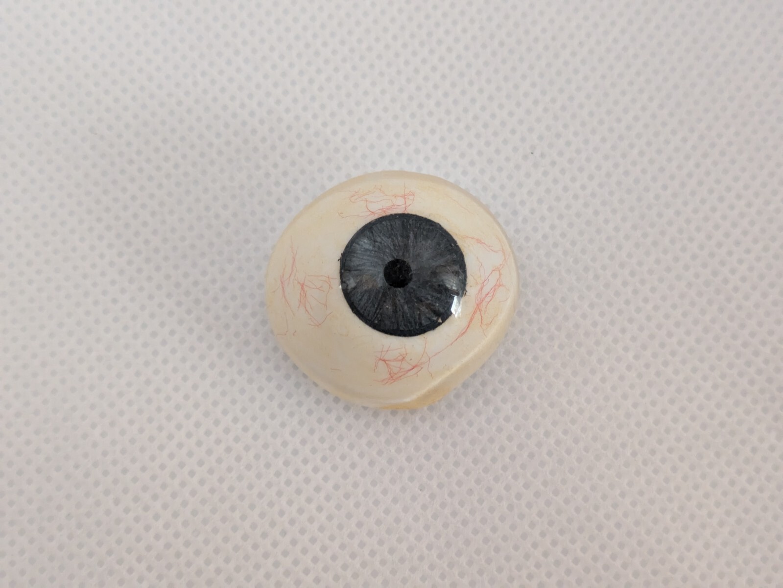 Human Eye Ocular Prostheses Prosthetic Realistic With Sterilized Case USA SELLER